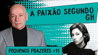 Pequenos Prazeres 11 A paixão segundo GH de Clarice Lispector  Leandro Karnal [upl. by Dusty]