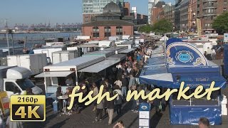 Hamburg Fischmarkt  Germany 4K Travel Channel [upl. by Resay848]