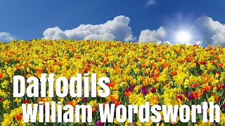 William Wordsworth  I Wandered Lonely as a Cloud Daffodils  Poetry reading with text [upl. by Orvan]