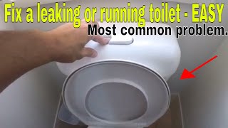 How to fix a leaking running toilet  most common problem [upl. by Jochbed]