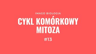 Cykl komórkowy i mitoza [upl. by Teferi]