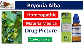 Bryonia Alba Homeopathic Medicine  Drug Picture  Materia Medica bhms bryonia [upl. by Weksler298]