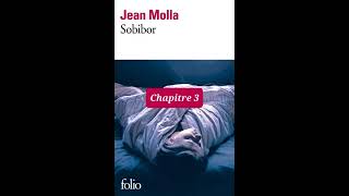 3  Sobibor  livre audio  Chapitre 3  Jean Molla  lecture et résumé [upl. by Modie218]