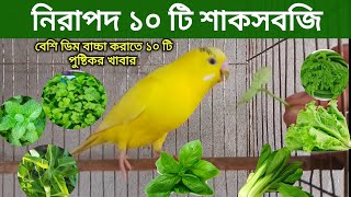 বাজিগর পাখিকে কোন কোন শাকসবজি খাওয়াবেন  Vegetables For Budgerigar bird  বাজরিগার পাখি পালন পদ্ধতি [upl. by Caughey]