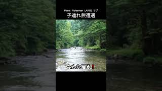 【危険】渓流釣り熊遭遇 鱒レンジャー [upl. by Mamoun]