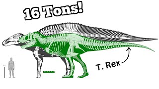 The Largest NonSauropod Dinosaur Ever [upl. by Nahtanoy756]