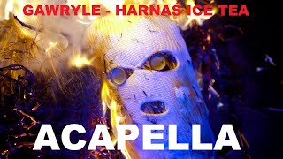 ACAPELLA Gawryle  Harnaś Ice Tea 115bpm G Minor [upl. by Buyse567]