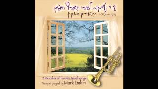 KsheAt Bocha At Lo Yafa  Trumpet Melodies of Favorite Israeli Songs [upl. by Vilhelmina]