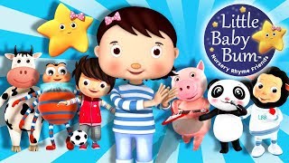 Little Baby Bum Theme Tune  2016 [upl. by Ainolopa697]