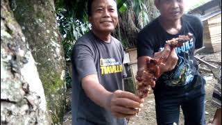 Makan Sate Kambing Bersama  Pulau Punjung Dharmasraya Sumatera Barat [upl. by Neenej]