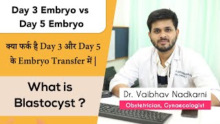 Day 3 Vs Day 5 Embryo Transfer Pros amp Cons  क्या फर्क है Day 3 और Day 5 के Embryo Transfer में [upl. by Herring]