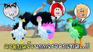 พี่ฝนพี่เอกปุ๊กปิ๊กเป็นครอบครัวนกกระจอกเทศ 🐥🐤🐣 Roblox Feather Family Ostrich [upl. by Legyn629]