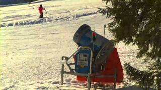 Spitzingsee Ski AreaTegernseeLakes in the Mountains of BavariaPolar Bears Yoghi and Giovanna [upl. by Anipsed391]