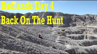 Badlands Fossil Hunting Day 4 Back on the hunt thefinders fossil badlands bones [upl. by Shanda]