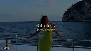 Bahinileek NEJ Slowed reverb [upl. by Aeiram780]