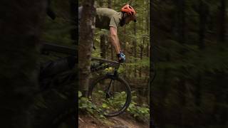 Pivot Firebird vs Yeti SB160 [upl. by Kammerer]