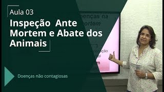 Concurso Veterinário Inspeção Ante Mortem e Abate dos Animais  Aula 0310 [upl. by Julita]