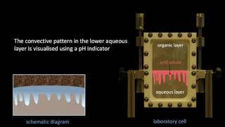 Acceleration of convective dissolution by chemical reaction in porous media [upl. by Akinohs]