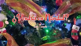 Juan Funesto  ¿Vendrás en Navidad [upl. by Amii]