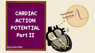 The Nervous System Part 2  Action Potential Crash Course Anatomy amp Physiology 9 [upl. by Stanwin]