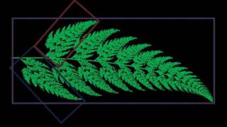 A Fractal Journey Into the Infinite The Barnsley Fern [upl. by Oigolue]