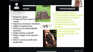 The Best Home Worm Composting Video Eever [upl. by Kammerer]