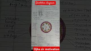 dicot stem full detail notes 2024 aims delhi mbbsmotivation [upl. by Kaitlyn842]