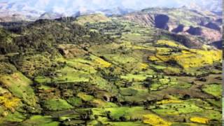 ethiopian best traditional music 2015 እናናንዬtesfaye workneh [upl. by Celtic609]