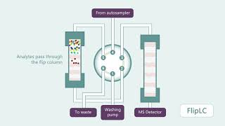 FlipLC liquid diagram with different detectors [upl. by Ewald]