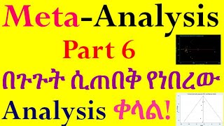 Systematic Review and MetaAnalysis Performing MetaAnalysis Part 6 Interesting Video in Amharic [upl. by Genevra931]