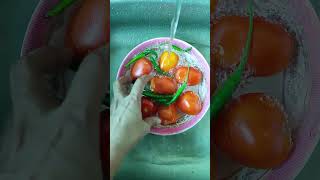 দাম বাড়লে শুকিয়ে রাখা শেখ হাসিনার বুদ্ধি food seikhhasina recipe chilli tomatto challenge [upl. by Esilahc]