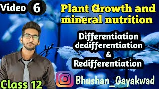 Differentiation Dedifferentiation Redifferentiation  Part 6  Plant Growth and Mineral nutrition [upl. by Ardnoet]