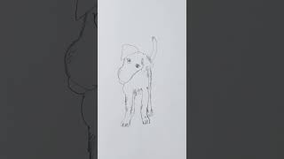 Drawing a Parson Russell Terrier Puppy EasilyDescription drawing ParsonRussellTerrier [upl. by Odraboel]