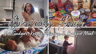 The One Where They Deliver Groceries  Large Family Grocery Haul  Vlog [upl. by Pat]