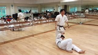 Ashihara Karate Importance of Basics and Stance [upl. by Silber219]