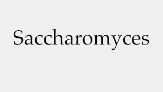 How to Pronounce Saccharomyces [upl. by Colver345]