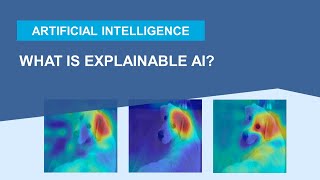 What Is Explainable AI [upl. by Barraza401]