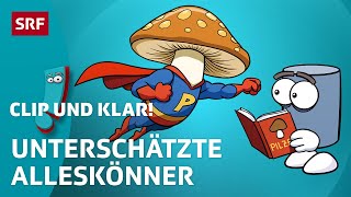 Pilze Die geheimen Superhelden der Natur  SRF Kids – Clip und klar  Für Kinder erklärt [upl. by Gisella]