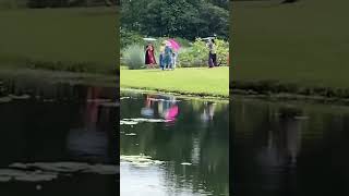 Eco Lake at Botanic Gardens Singapore [upl. by Mast]