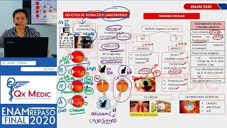 REPASO TEÓRICO  OFTALMOLOGÍA [upl. by Elahcar]