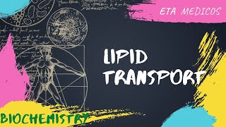 Lipid Transport  Lipoprotein Metabolism  Sinhala [upl. by Hanikehs802]