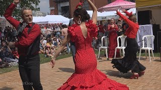 FERIA de LONDRES 2018  London  IIusion Flamenco Sevillanas Display [upl. by Marras]