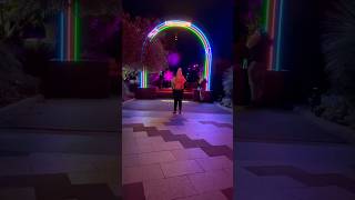 Botanical garden Winter lights part 1 shorts winterlights shortfeed viralvideo adventure [upl. by Valley]