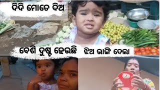 ଗେଲି ର ଦୁଷ୍ଟା ମି semiliguda Laxmi vlogs [upl. by Adiaj]