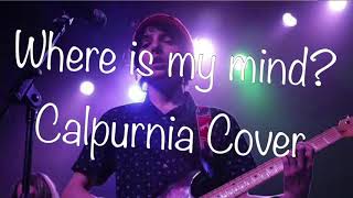 Where is my mind  Calpurnia Cover Lyrics [upl. by Einohtna]