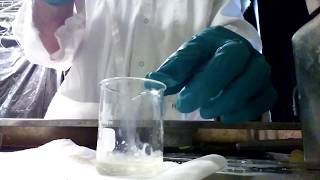 Mixing equal parts Titanium Butoxide with Nitric Acid [upl. by Ener411]