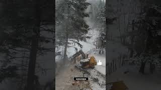 Amazing winter logging Tigercat Feller Buncher equipment logging machinery tigercat [upl. by Adirehs]