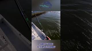 CRACKING THE CODE Catching Speckled Trout in Galveston East Bay fishing fishingholiday [upl. by Allemap33]