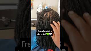 DREADS  Fresh Retwist amp Interlocked 💚🤍 [upl. by Robyn]