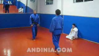 Nage No Kata  Katas de Judo  Artes marciales  Martia arts [upl. by Attenrad]